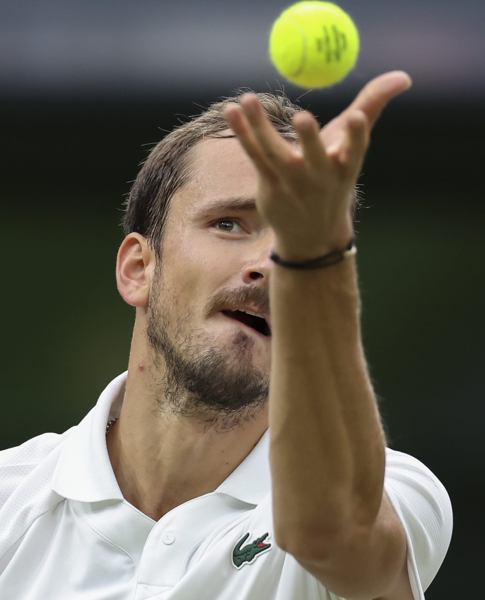 温网翻盘年终总决赛,梅德韦杰夫刷新纪录 温网翻盘年终总决赛,梅德韦杰夫刷新纪录