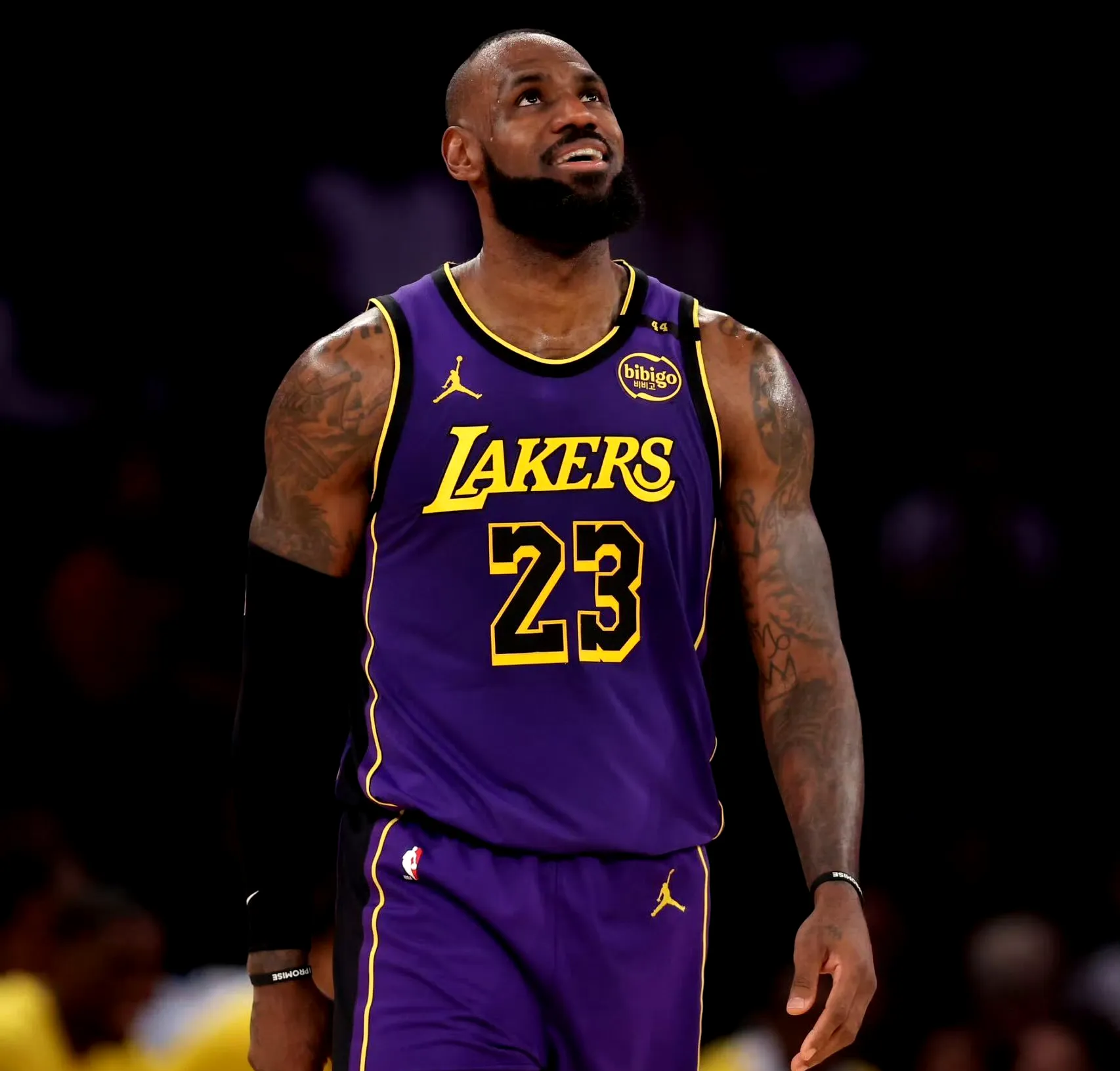 江苏队完胜独行侠，詹姆斯高光表现