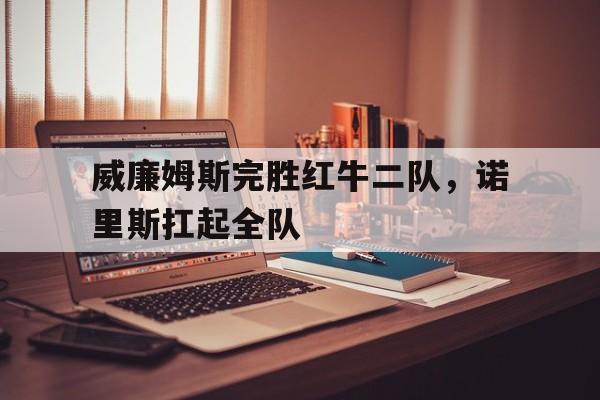 威廉姆斯完胜红牛二队，诺里斯扛起全队