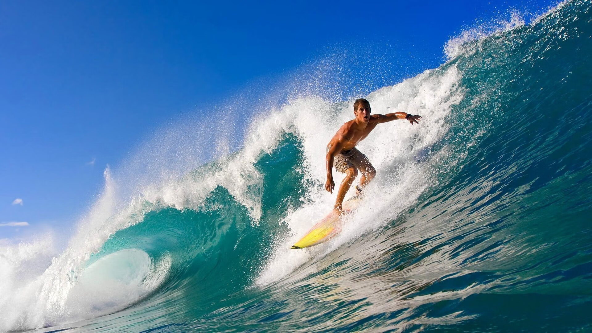 赛道与球场，当F1争冠焦点遇上辽宁铁血防守